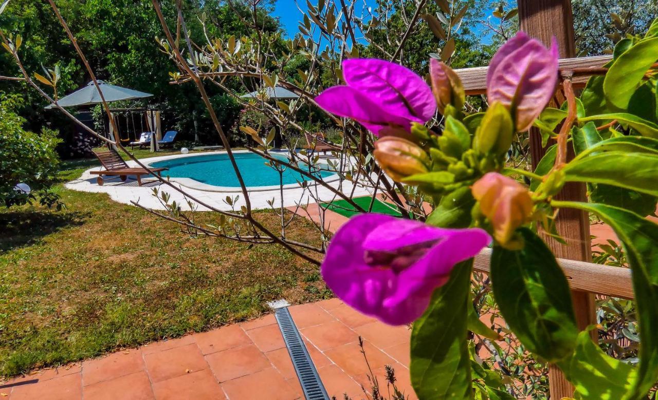 Apartment Nona Ancka Marezige Luaran gambar